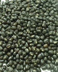 Black Grams