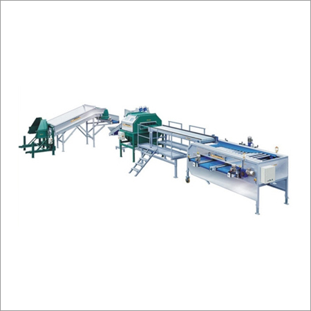 Onion Processing Line
