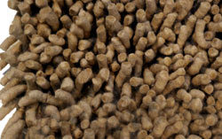 Woolen Jute Carpet