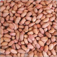 Groundnut