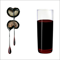 Cashew Nut Shell Oil