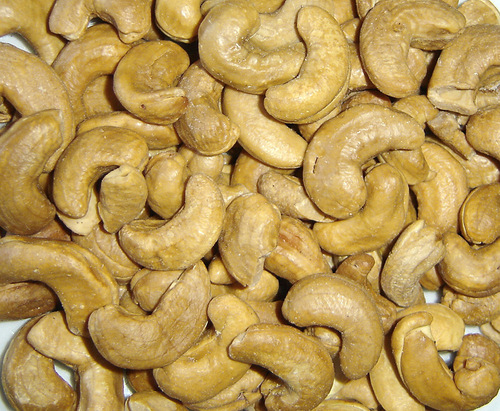nut