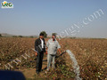 Solar Irrigation Pump