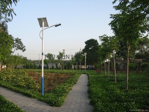 Solar LED Street Light