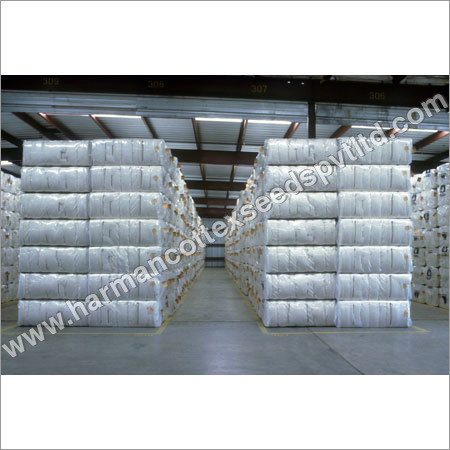 Normal Raw Cotton Bales