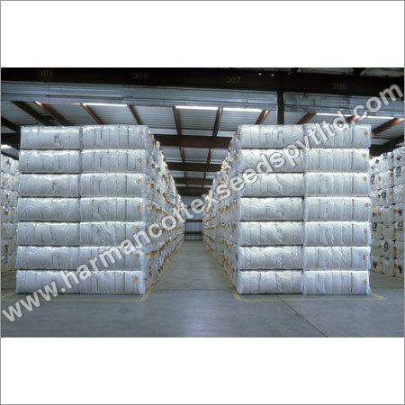 Normal Raw Cotton Bales