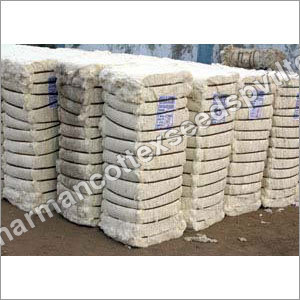 Cotton Bales