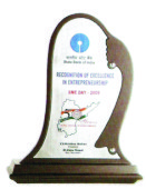 Certificate on Wooden Flooring with silver foil