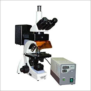 Trinocular Fluorescence Microscope By BLUEFIC INDUSTRIAL & SCIENTIFIC TECHNOLOGIES