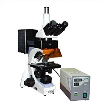 Trinocular Fluorescence Microscope