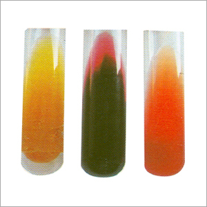 DIGITAL COLONY COUNTER (3 Models)