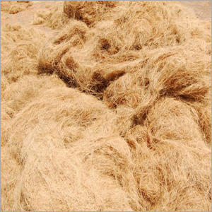Coir Fiber