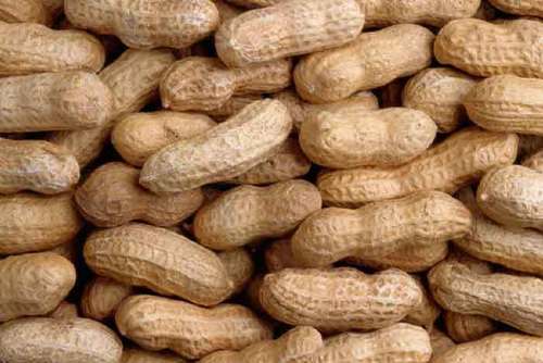 Ground Peanuts