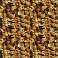 Raw Coconut Shell - Irregular Size, Brown Color | Eco-friendly, High Thermal Value, Impurity-free, Odorless, Versatile Uses In Handicraft And Chemical Industries