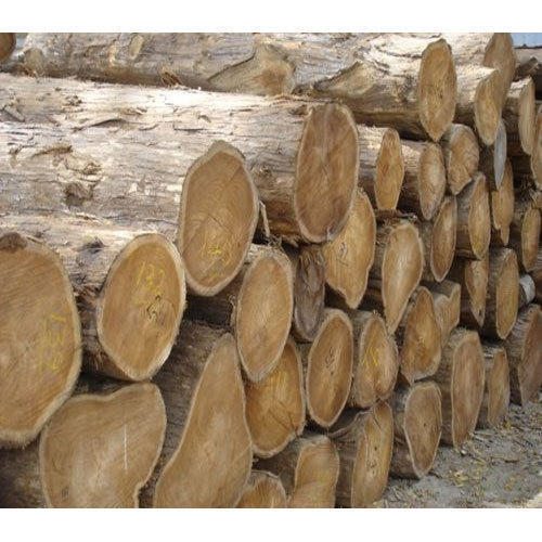 Teak wood Round Log