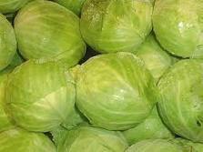 CABBAGE