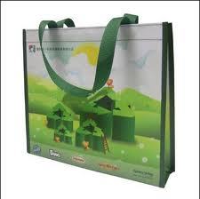 Grocery Shopping Bags