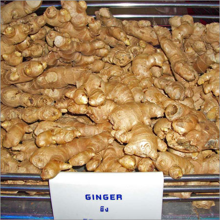 Ginger