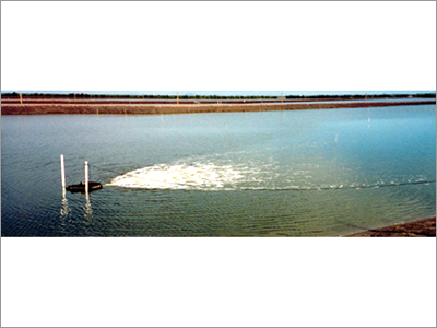Aquaculture