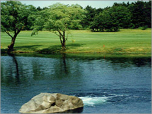 Lake Restoration