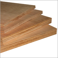 Plywood