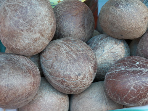 coconut Copra full