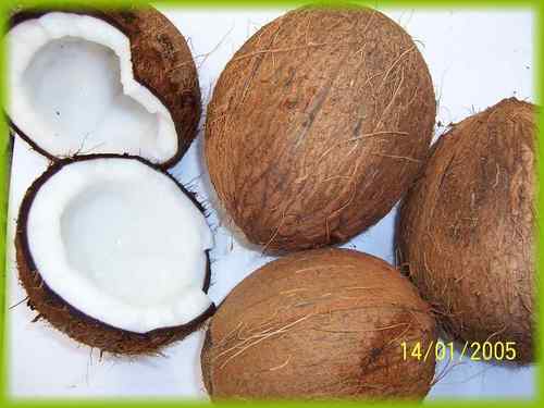 coconut