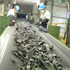 Belt Conveying High Ferro Material