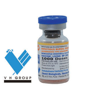 संक्रामक बर्सल रोग और न्यू कैसल रोग वैक्सीन लिविंग बीपी (पशु चिकित्सक)