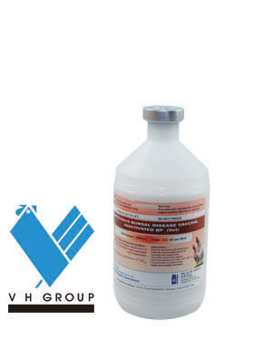 Infectious Bursal Disease Vaccine, Inactivated BP (Vet)