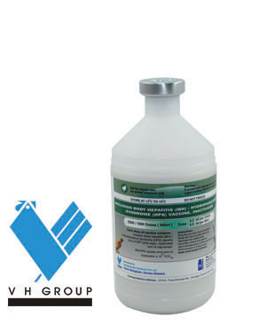 समावेशन शारीरिक हेपेटाइटिस (आईबीएच) टीका निष्क्रिय