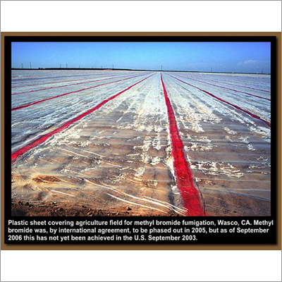 Plastic Sheet For Covering Grains