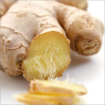 Ginger