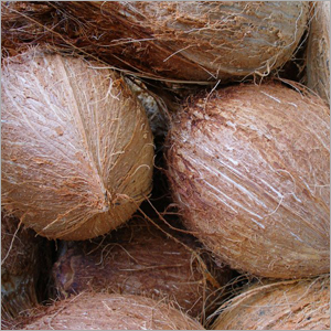 Fresh Coconuts - Brown Shell, Variable Size | Fresh, Natural, Hydrating, Nutritious, Versatile
