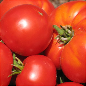 Tomatoes - 100-200g, 5-8cm Red Beefsteak | Ripe, Juicy, Flavorful, Versatile, Nutritious