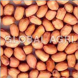 Java Type Groundnuts