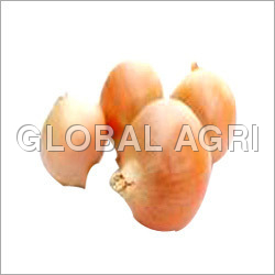 Pink Onion