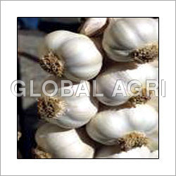 Raw Garlic