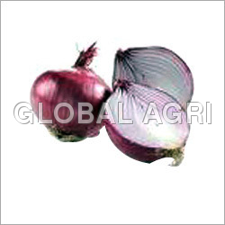 Red Onion