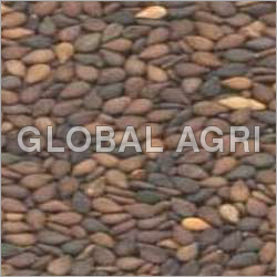 Brown Sesame Seeds