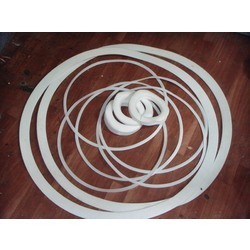 PTFE PTFE O Ring
