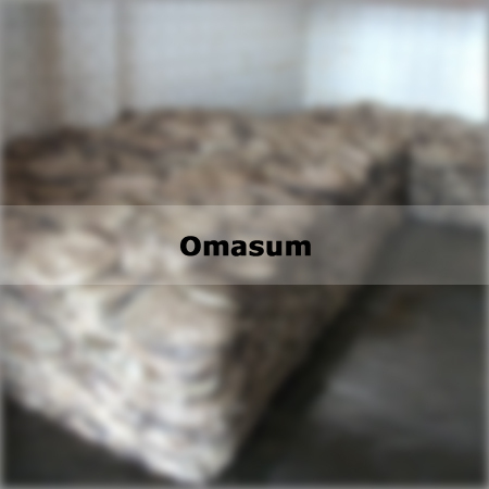 Omasum
