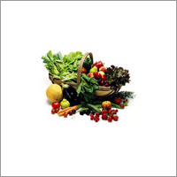 Agriculture Testing Services