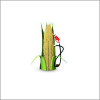 Bio Fuels Testing Services