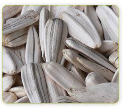 Sunflower Seeds