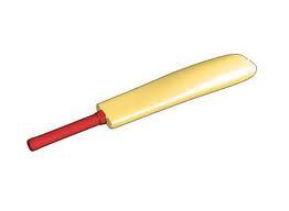 Cricket Bat