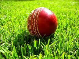 Cricket Ball