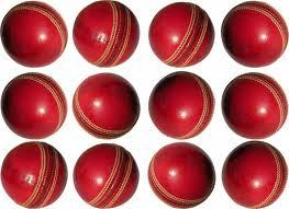 Cricket Leather Ball