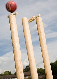 Cricket Stumps