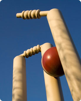 Standard Cricket Stumps